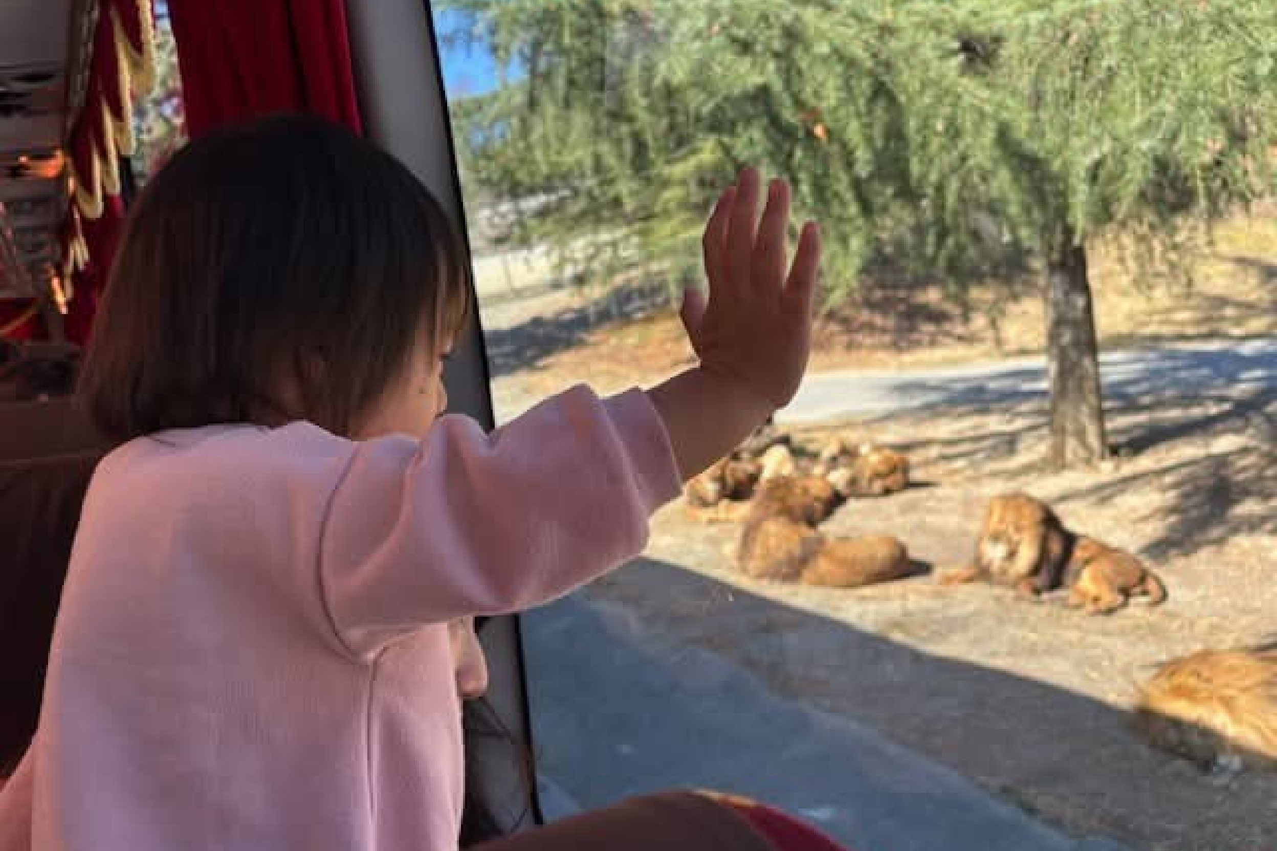 ひとり親家庭の子どもたちがバスツアーを楽しんでいる様子