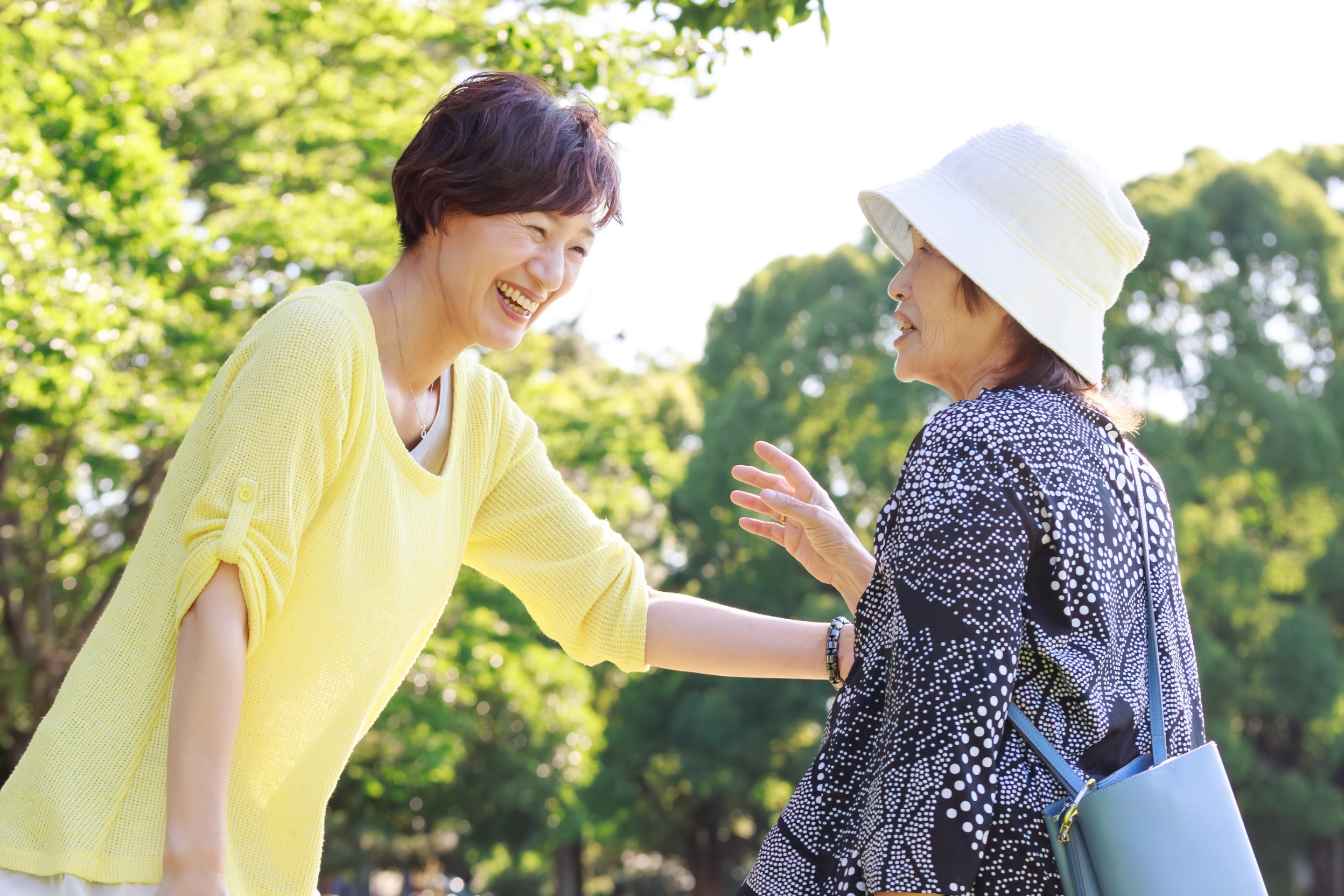 社協支部による一人暮らし高齢者等への見守り活動の様子