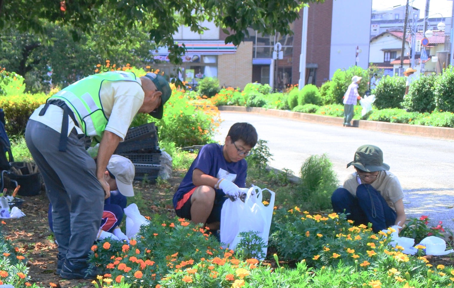 ボランティア活動のイメージ画像