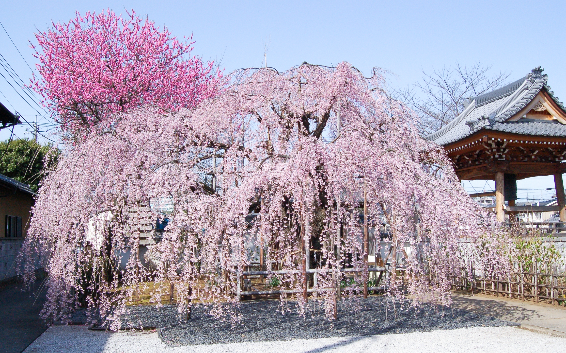 キービジュアル画像3