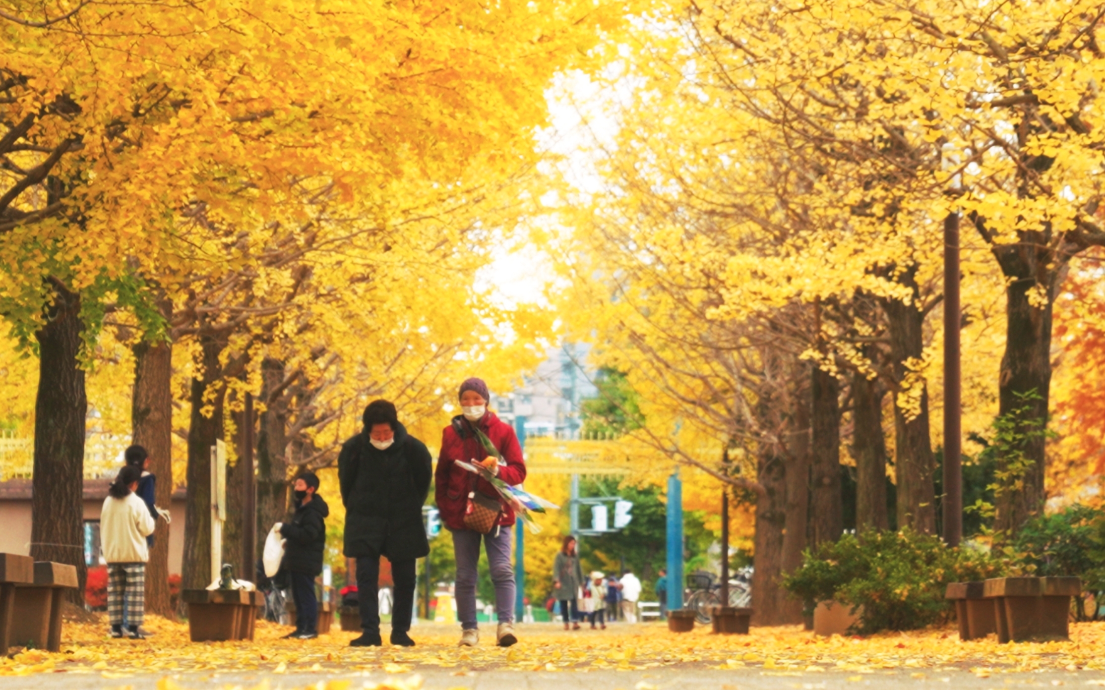 ふじみ野市社協の活動風景1